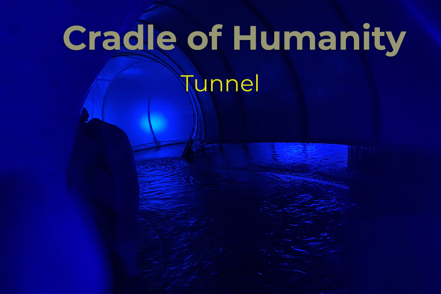 Cape Town — Harbour