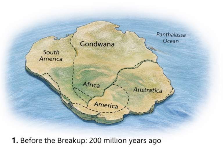 Before the breakup: Gondwana 200 million years ago